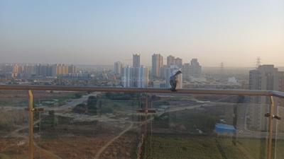 Kitchen Image of 1300 Sq.ft 2.5 BHK Apartment / Flat for sale in Shree Vardhman Victoria, Sector 70 Gurgaon for Rs. 18000000