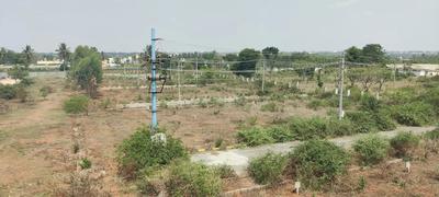 Residential Plot