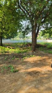 Image of 325 Sq.ft Residential Plot / Land for sale in Koba, Gandhinagar for Rs. 39000000