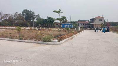 Pati Plot View 2