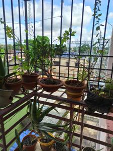 Image of 900 Sq.ft 2 BHK Apartment / Flat for sale in Sonarpur, Kolkata for Rs. 4200000