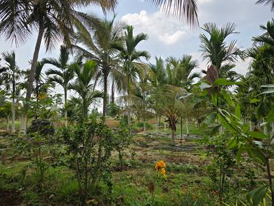Image of 174240 Sq.ft Residential Plot / Land for sale in Doddaballapura, Bengaluru for Rs. 104000000