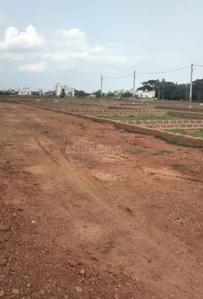 Patrapada Plot View 3