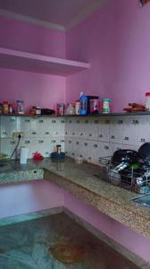 Kitchen Image of 200 Sq.ft 1 BHK Apartment / Flat for rent in Sector 63 Mohali for Rs. 10000