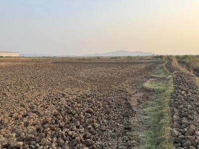 Residential Plot