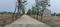 Aranya City Of Woodland Main Image 1