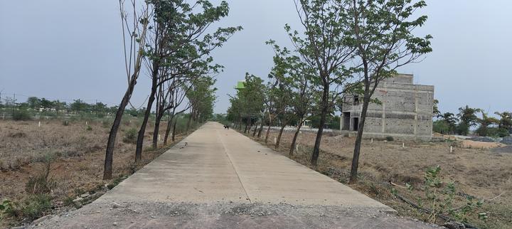 Aranya City Of Woodland Main Image 1