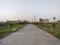 Amolik Aster Woods Main Image 1