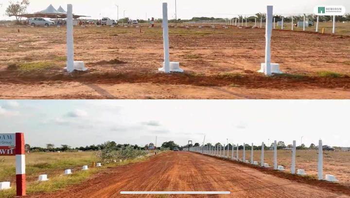 Red Sandalwood Plantation Plots Main Image 1