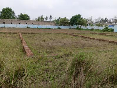 Siula Plot View 1