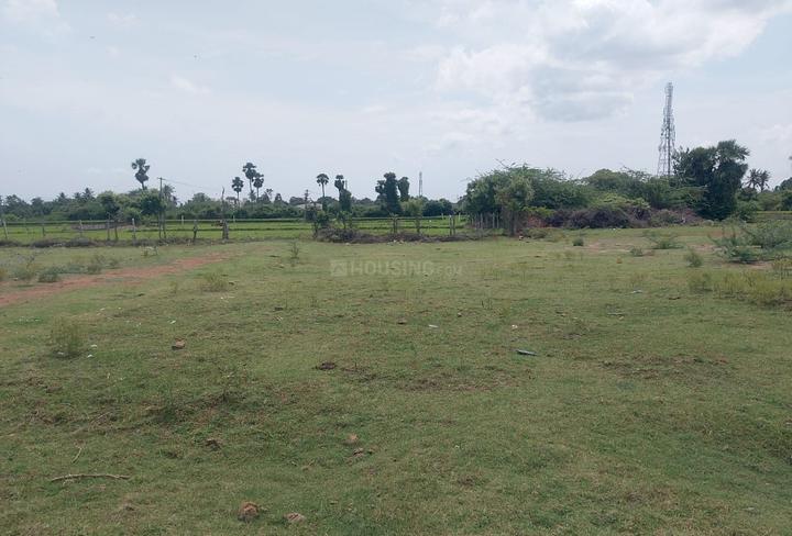 Pavendar Salai Main Image 1