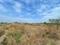 Vindhane Plot View 2