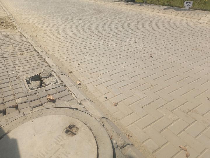 M2K Olive Greens Main Image 1