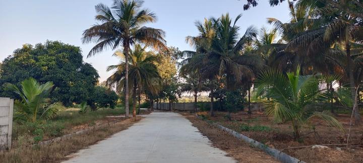 VM LAKE VIEW FARMS  Main Image 1