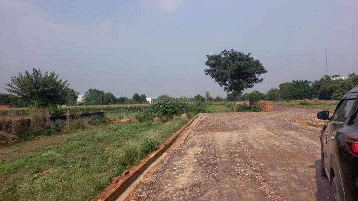 Novelty Green Plot Main Image 1