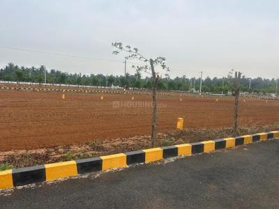Residential Plot