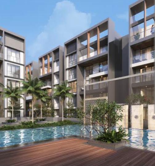 Radiance Floresta Main Image 1