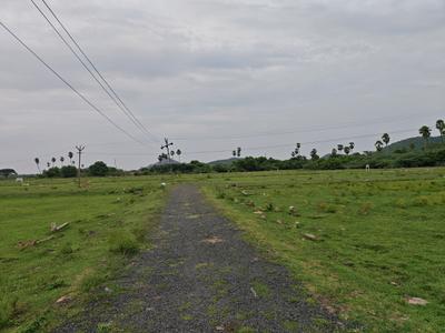 Image of 980 Sq.ft Residential Plot / Land for sale in Chengalpattu, Chennai for Rs. 1469030