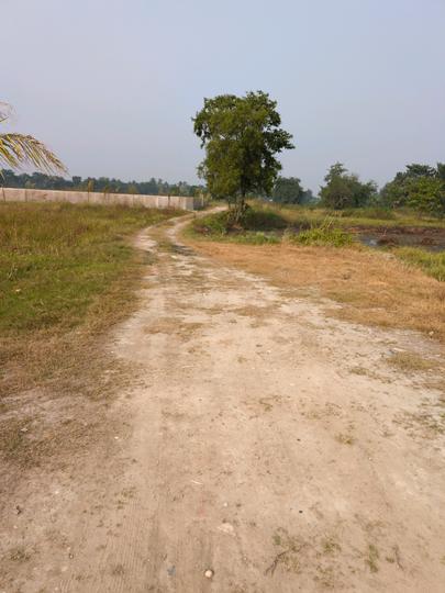 Metroplex City Main Image 1