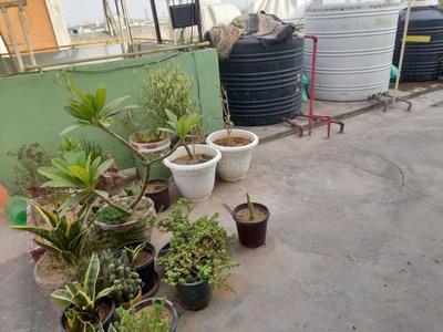 Balcony Image of 1100 Sq.ft 3 BHK Builder Floor for sale in Sector 49 Faridabad for Rs. 5500000