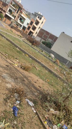 Daldal Seoni Main Image 1