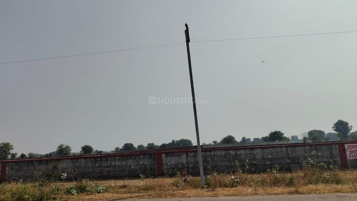 Jhalana Main Image 1