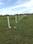 79 acers farms  Plot View 2