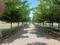Premium plots Plot View 2