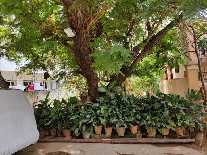 Raghunath reddy colony Main Image 1