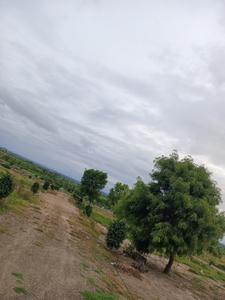 Image of 1000 Sq.ft Residential Plot / Land for sale in Talegaon Dhamdhere, Pune for Rs. 225000