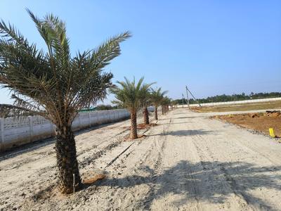 Image of 1200 Sq.ft Residential Plot / Land for sale in Mandaiyur, Tiruchirappalli for Rs. 540000