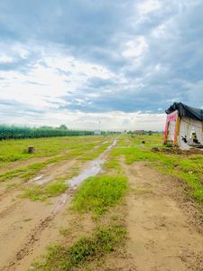 Image of 135 Sq.ft Residential Plot / Land for sale in Garden 28 Pataudi, Pataudi, Gurgaon for Rs. 13000000