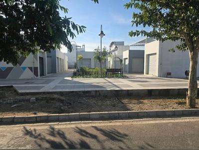 Ch group Plot View 2