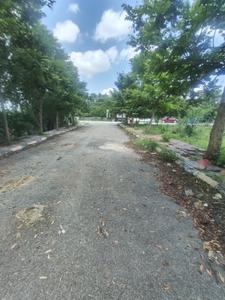Ravalkole Plot View 2