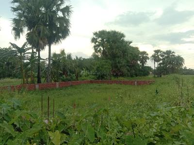 Residential plot Sonarpur Plot View 3