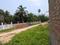 Diamond Park Main Image 1