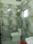 Bathroom Image of Home in Kakkanad, Kochi