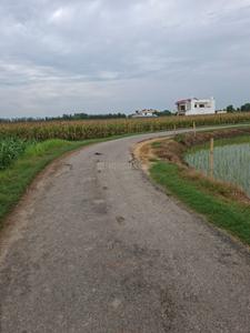 Agricultural Land