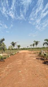 Image of 8000 Sq.ft Residential Plot / Land for sale in Amleshwar, Raipur for Rs. 2800000