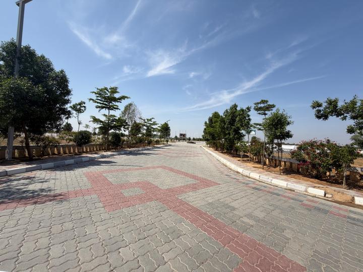 AKIRA Havenwoods Main Image 1