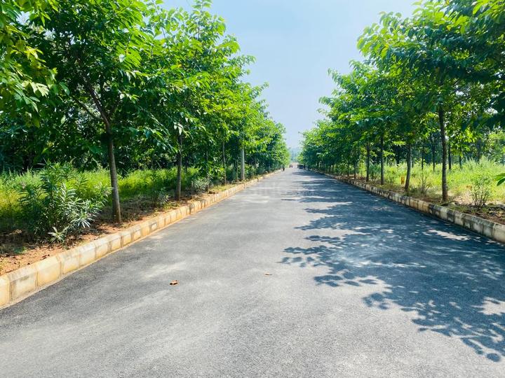 Siri Venkateswara Alluris Nandanavanam Main Image 1