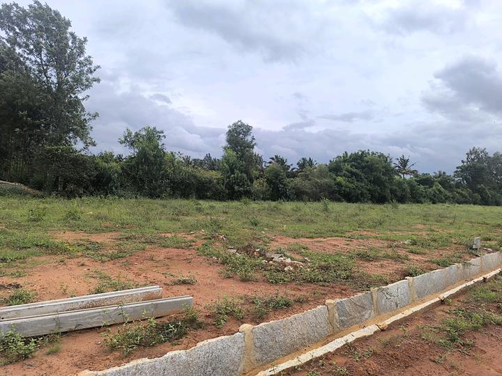 Telecom layout Main Image 1