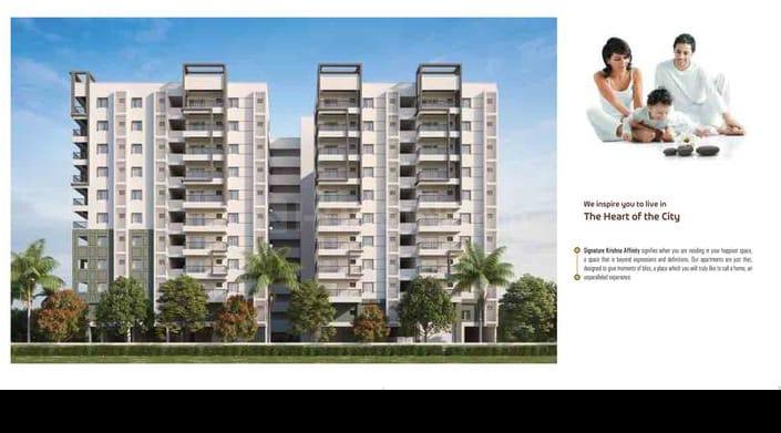 Signature Krishna Affinity Main Image 1