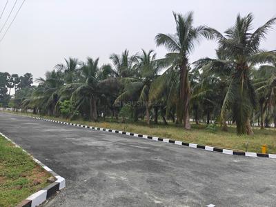 Radian silicon park Plot View 2