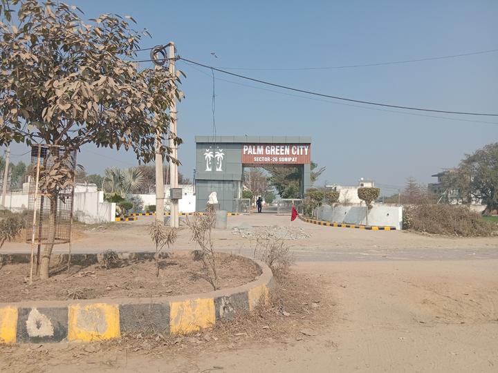 Gemimi Supermax The Flower City More Images 1