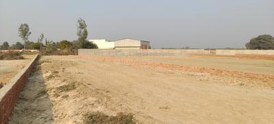 Gaura Plot View 2