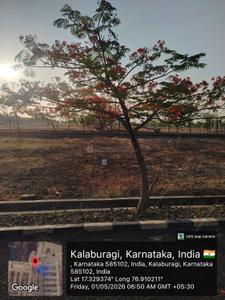 Image of 1200 Sq.ft Residential Plot / Land for sale in Hagargi, Gulbarga for Rs. 1500000