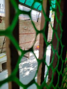 Image of 2800 Sq.ft 3 BHK Independent House for rent in Shahibaug, Ahmedabad for Rs. 40000
