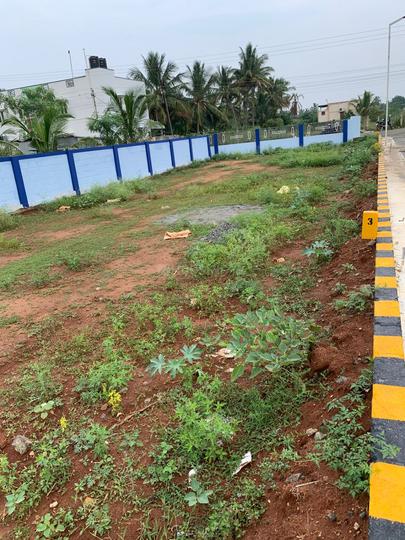 Kallipalayam Main Image 1