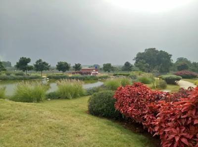 Residential Plot
